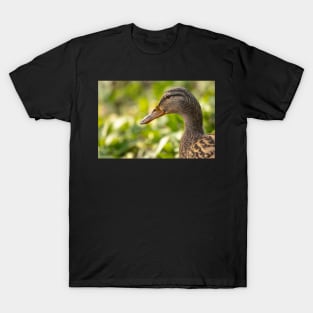 Female mallard duck portrait T-Shirt